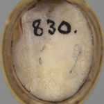 299803
