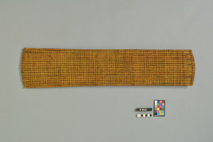 P4541