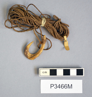 P3466M