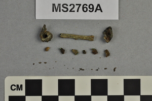 MS2769A