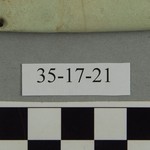 302151