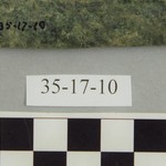 302173