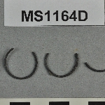 302558