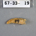302689