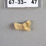 302782