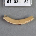 302807
