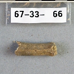 302826