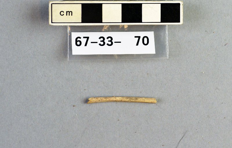 302833