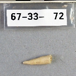 302838