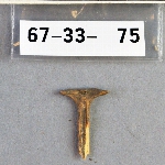302844