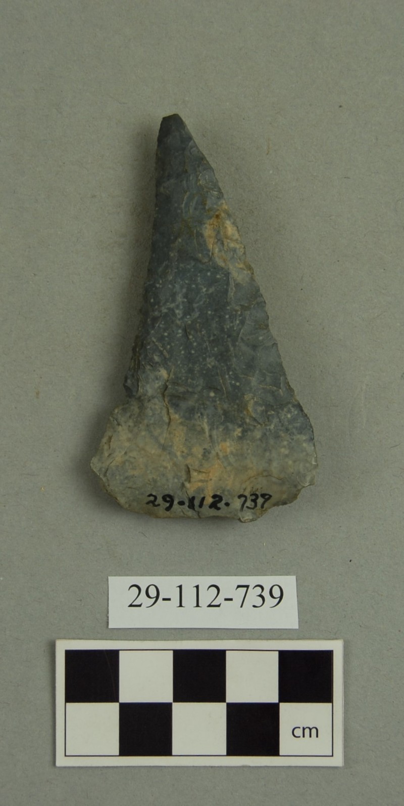 302884