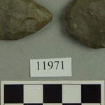 302893