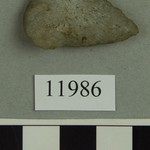 302895