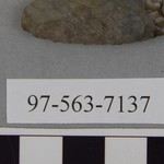 304538
