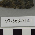 304546