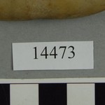 304621