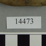 304622