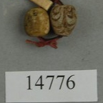 304644