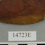304648