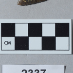 309931