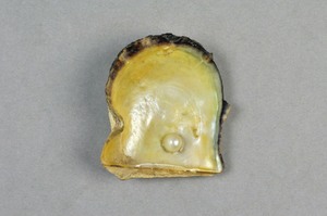 L-180-31