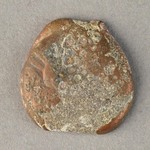 314206