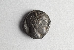 E11591