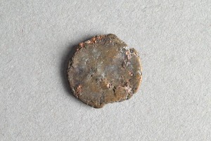 32-42-1200.118