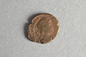 32-42-1200.557