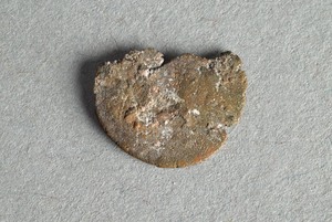 32-42-1200.904