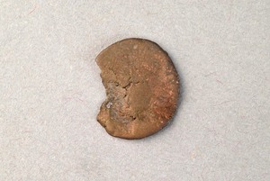 32-42-1200.959