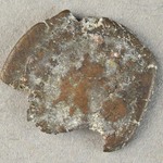323166