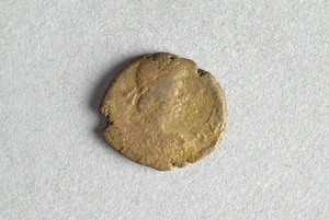 32-42-1200.1172