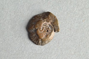 32-42-1200.1215