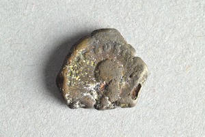 32-42-1200.1231