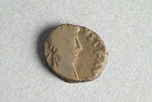 32-42-1200.1254