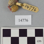 324636