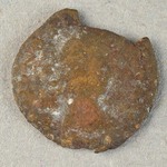 325043