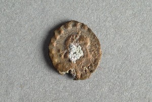 32-42-1200.1367