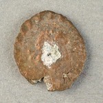 325076