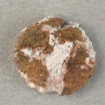 325730