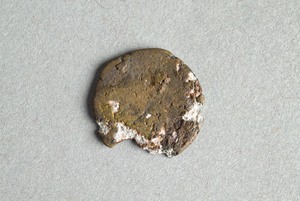 32-42-1200.1513