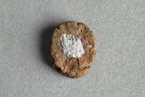 32-42-1200.1515