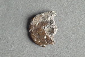 32-42-1200.1536