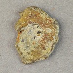 326491