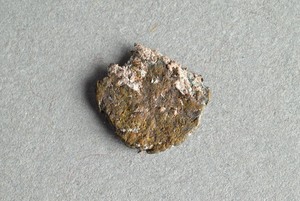 32-42-1200.1541
