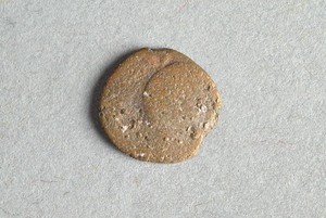 32-42-1200.1554