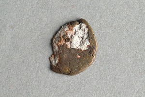 32-42-1200.1579