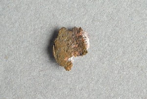 32-42-1200.1590