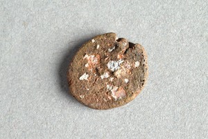 32-42-1200.1617